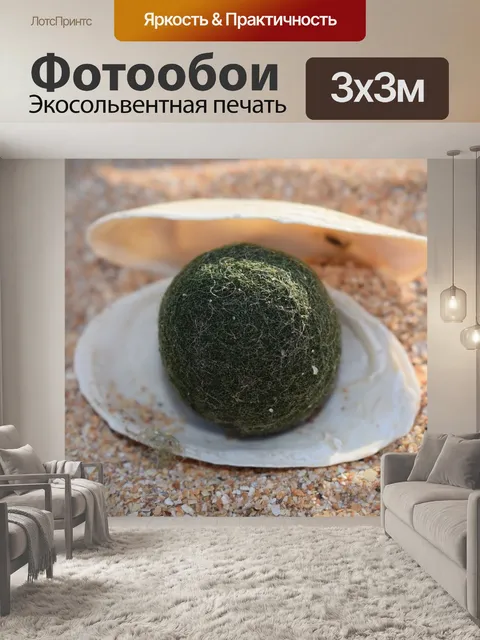 Фотообои Жемчужина