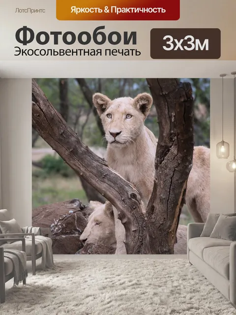 Фотообои Дикая природа