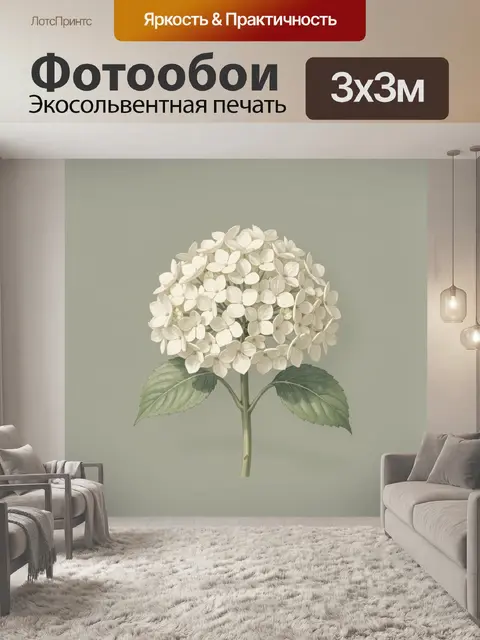Фотообои Белая гортензия с зелёными листьями