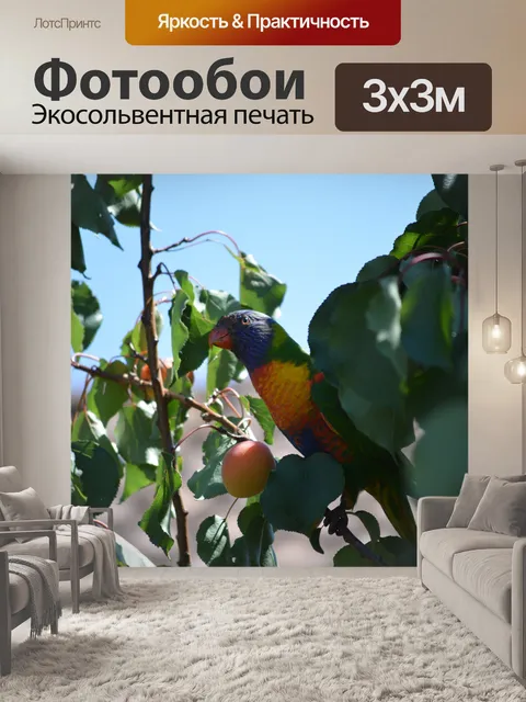 Фотообои Розелла с едой