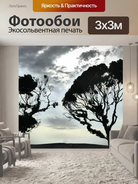 Фотообои Силуэты деревьев