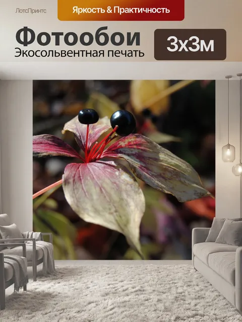Фотообои Лесные ягоды