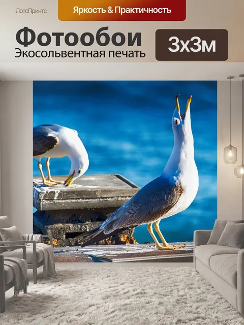 Фотообои Чайки