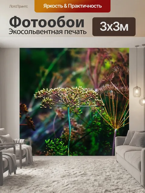 Фотообои Укроп