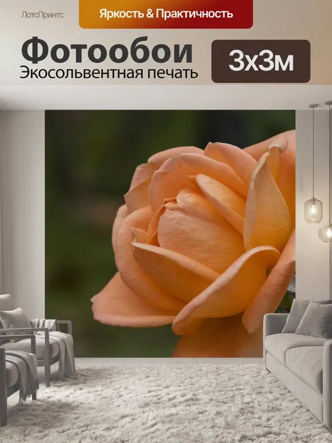 Фотообои Осень