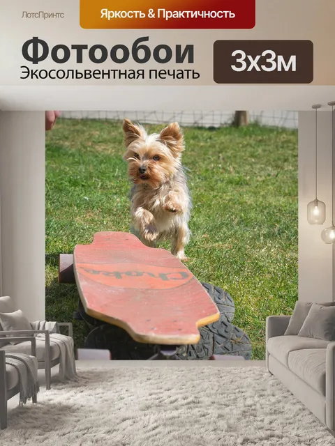 Фотообои Собака