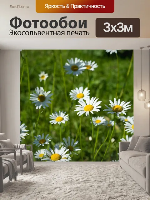 Фотообои Ромашки