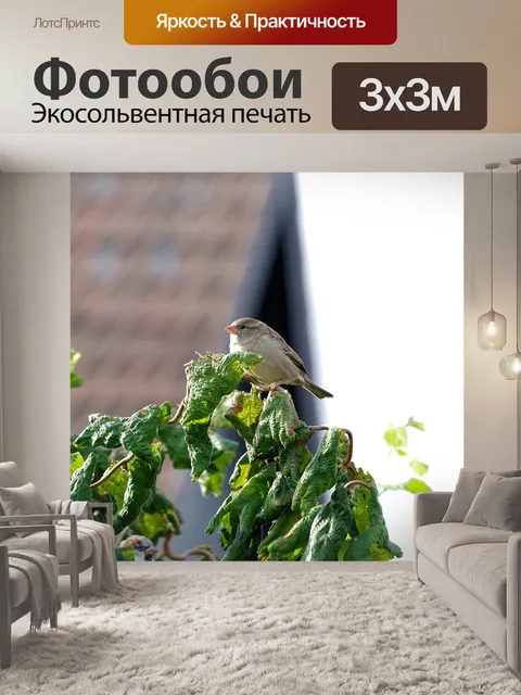 Фотообои Птица