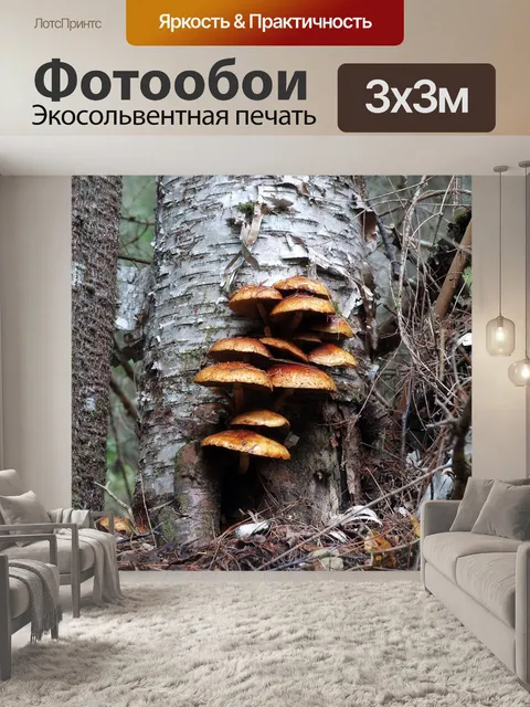 Фотообои Грибы