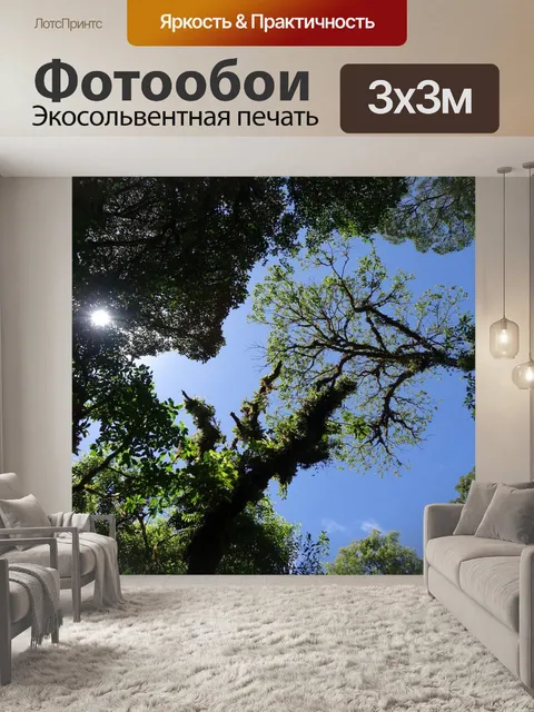 Фотообои Лес