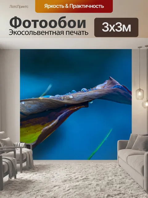 Фотообои Капли дождя