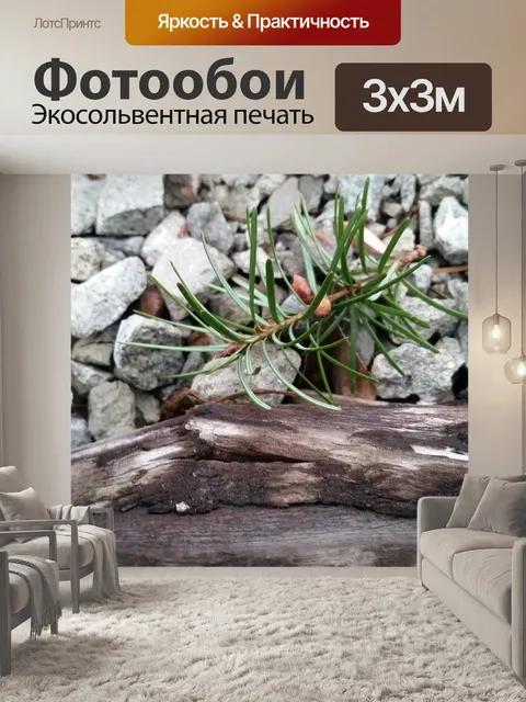 Фотообои Природа