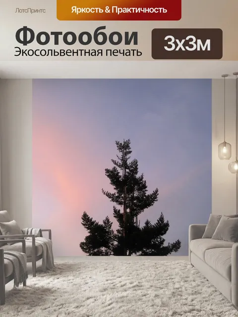 Фотообои дерево против рассвете