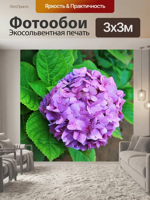 Фотообои розовый цветок гортензии