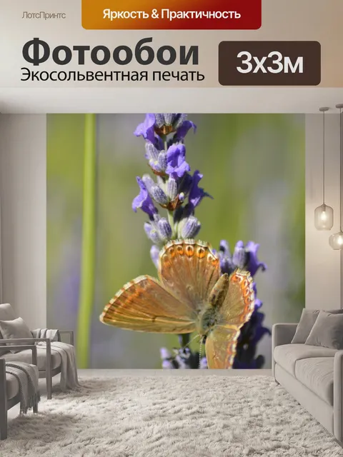 Фотообои Бабочка