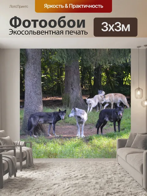 Фотообои Волки