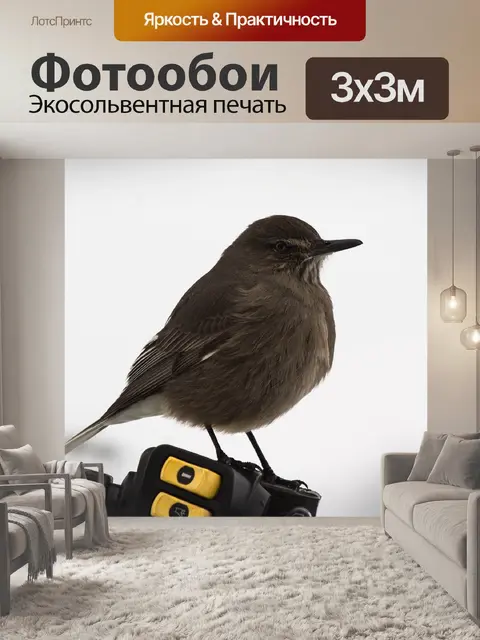 Фотообои Птица