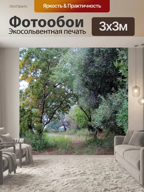 Фотообои деревья и Вельд