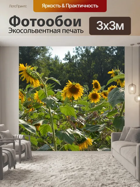 Фотообои Поле подсолнухов