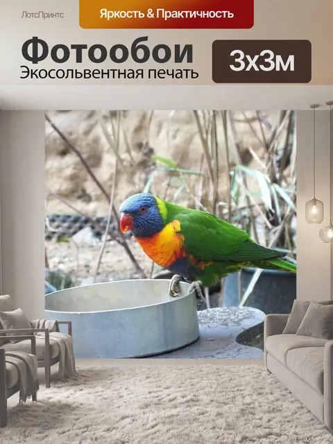 Фотообои Птица