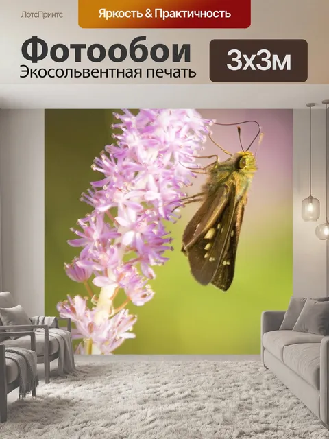 Фотообои Цветок