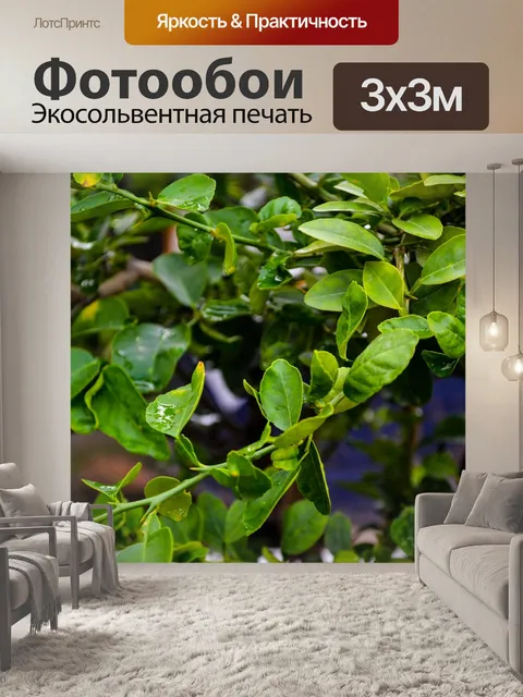 Фотообои Листья лимона
