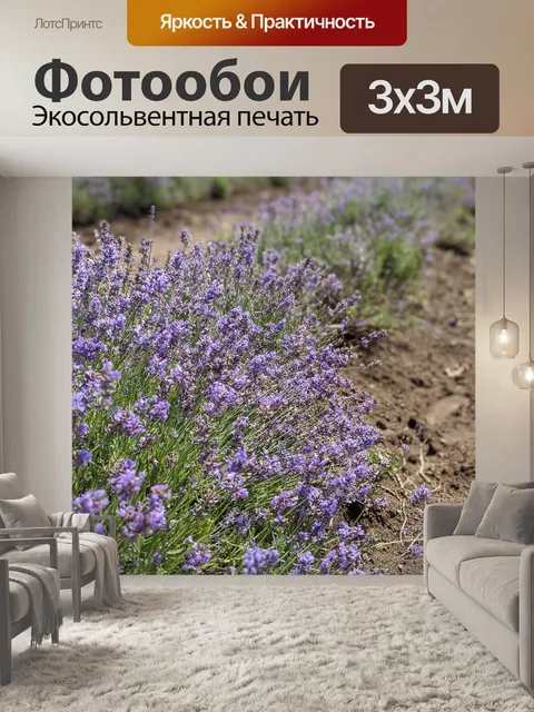 Фотообои Лаванда