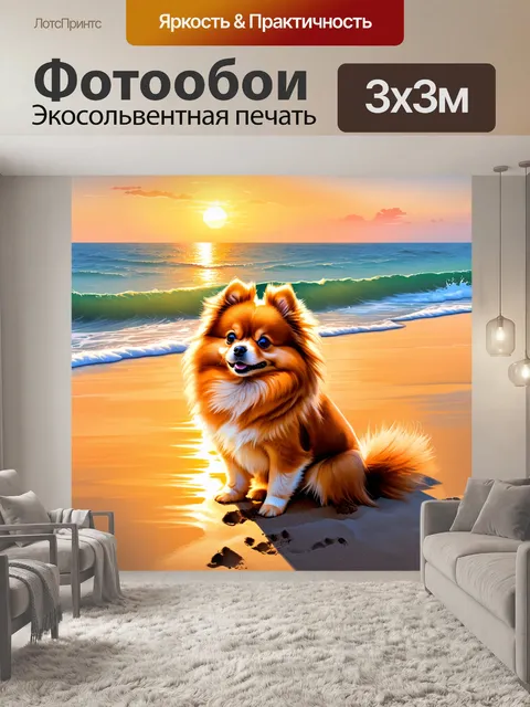 Фотообои померанский шпиц сидит на берегу моря с песком между лапками, наблюдая за горизонтами