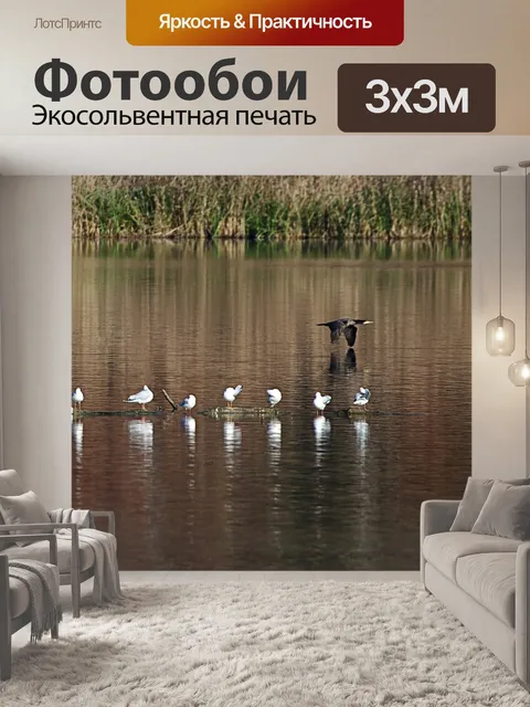 Фотообои Птица