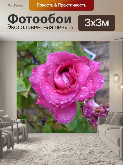 Фотообои Роза