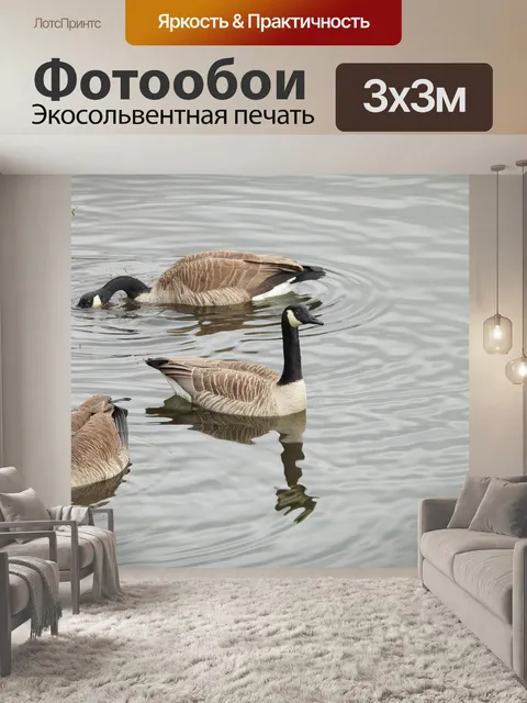 Фотообои Птицы