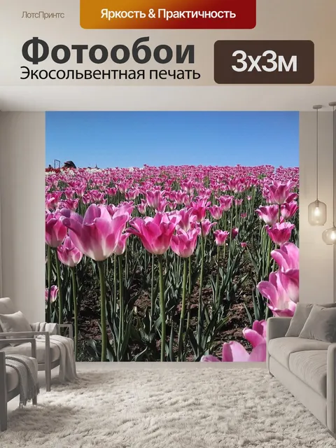 Фотообои Тюльпан