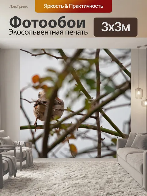 Фотообои Плащ-воробей на розовом тростнике