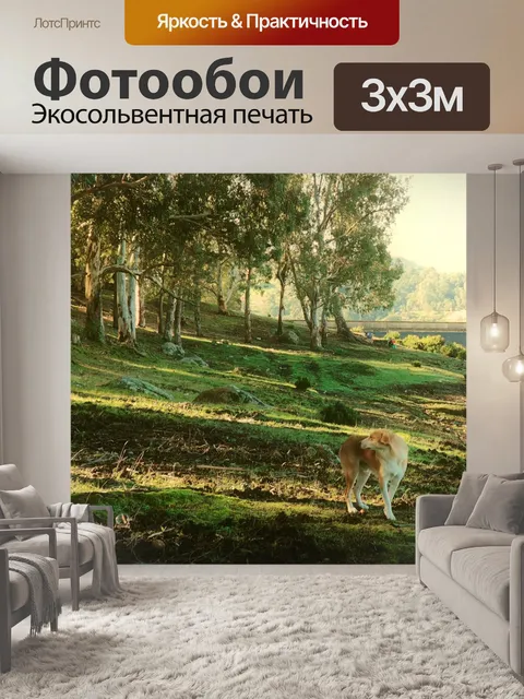 Фотообои Собака