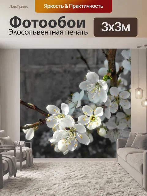 Фотообои Цветок