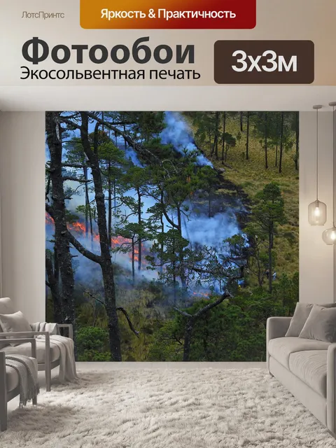 Фотообои Пожар