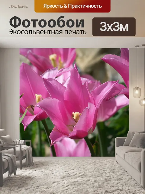 Фотообои Розовый