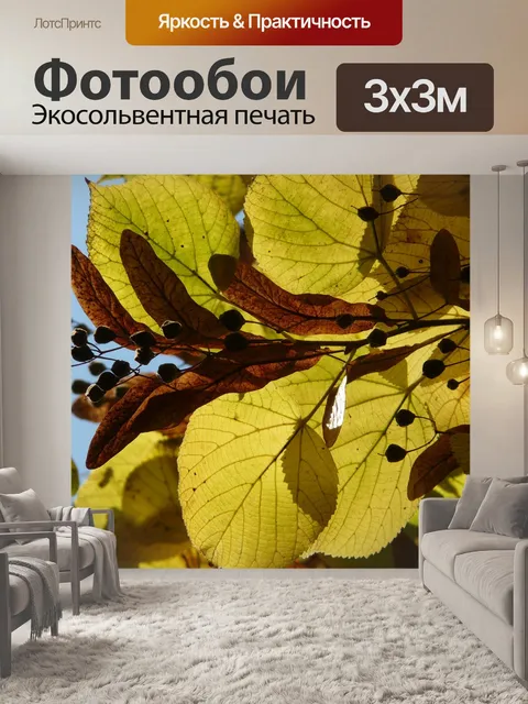 Фотообои Листья липы