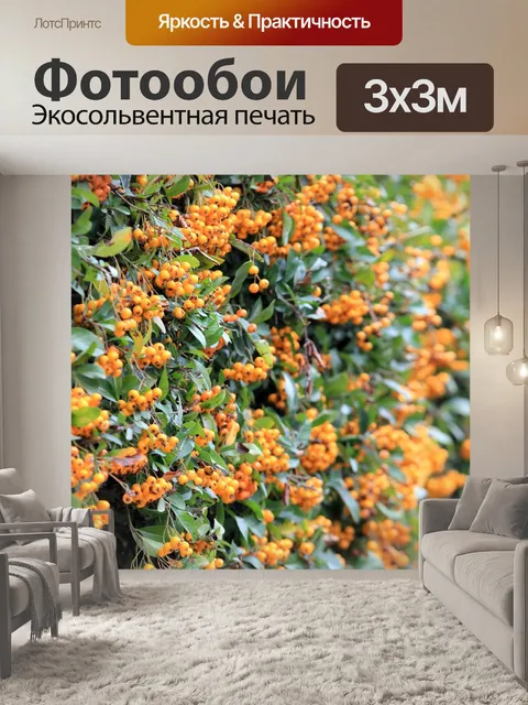 Фотообои Цветы
