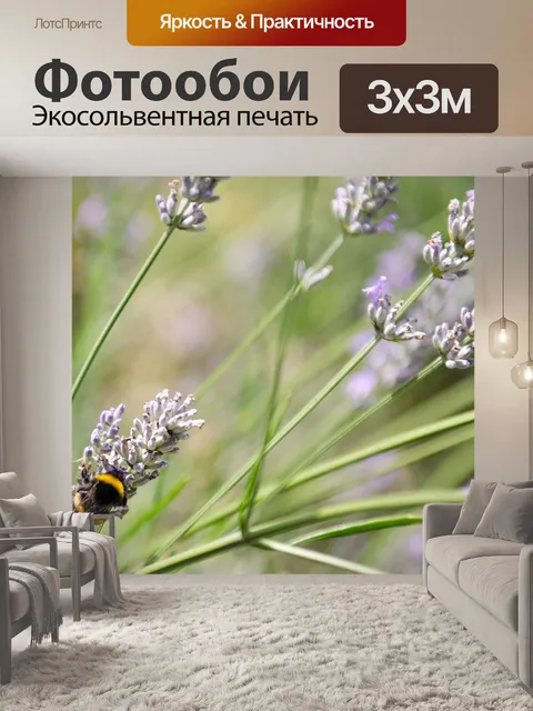 Фотообои Шмель