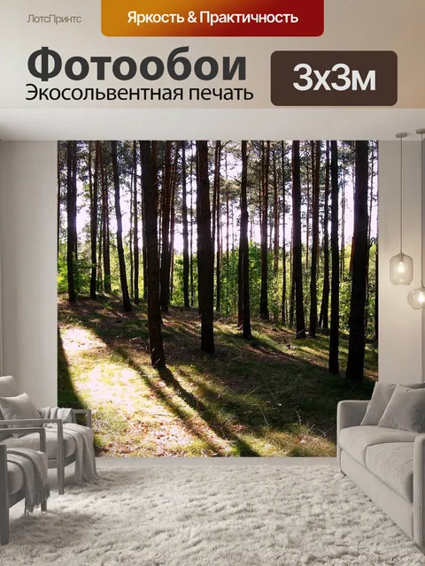 Фотообои Лес