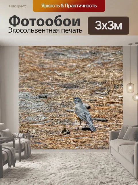 Фотообои Птица