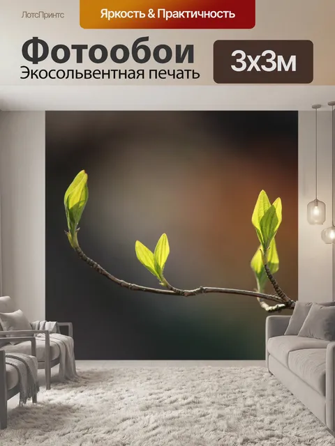 Фотообои Ветвь