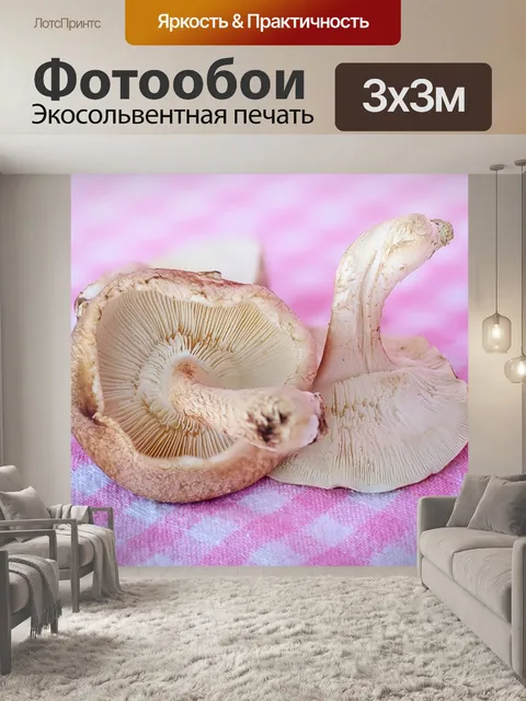 Фотообои Грибы