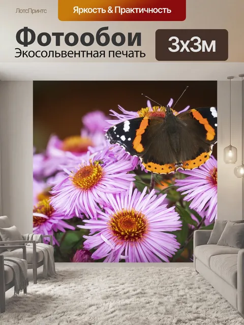 Фотообои Бабочка