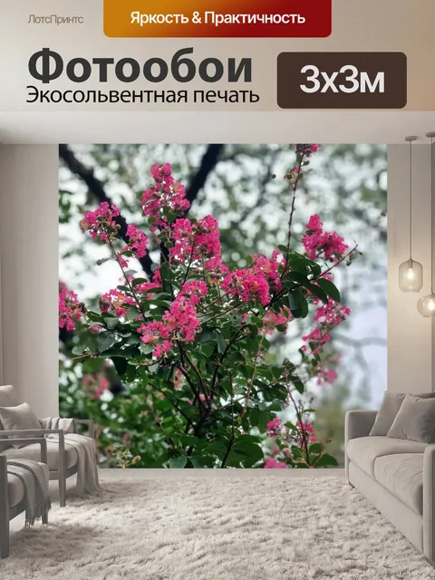 Фотообои Цветок