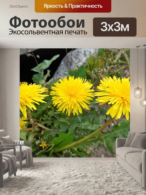 Фотообои Цветы