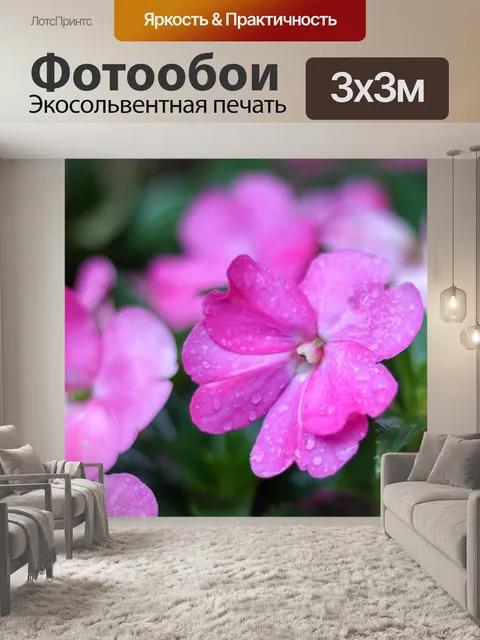 Фотообои Цветы