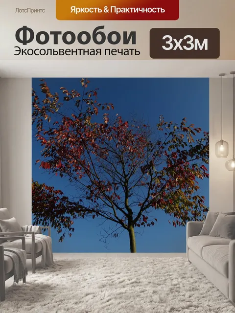 Фотообои Падение