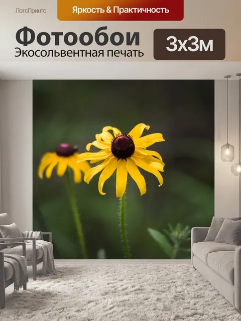 Фотообои Полевые цветы